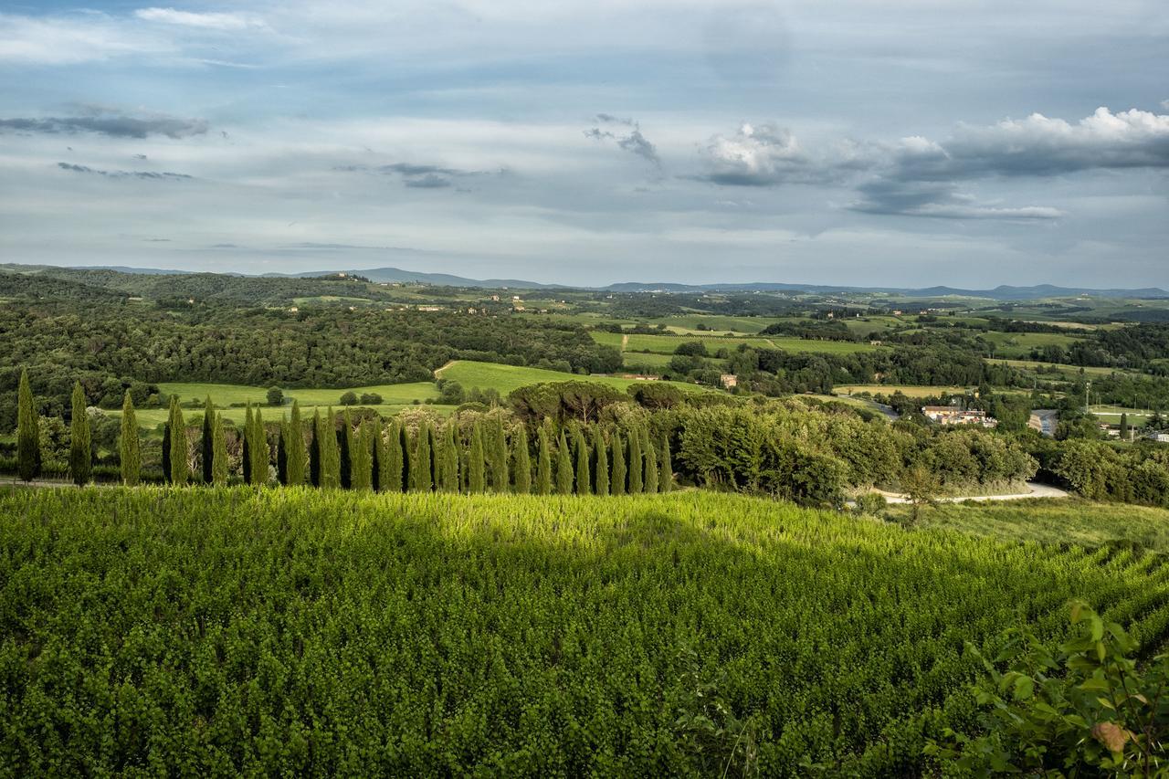 Borgo Argiano Villa Castelnuovo Berardenga Eksteriør billede